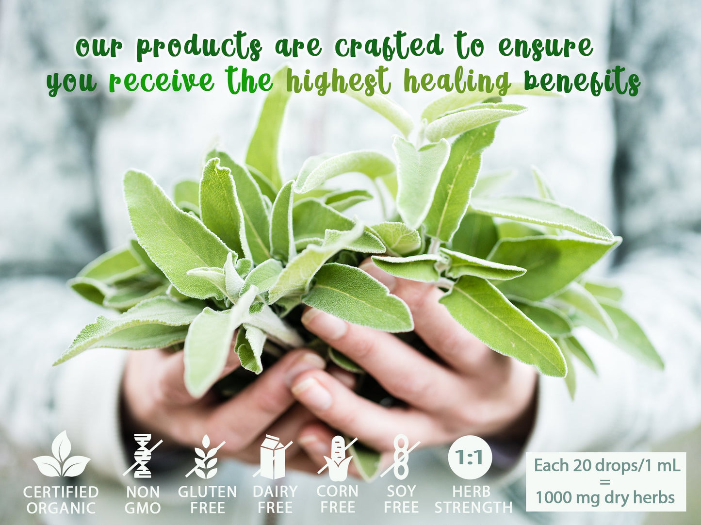 Adrenal Plus - Stress Releif + Boost  -  Herbal Tincture + Energy Healing